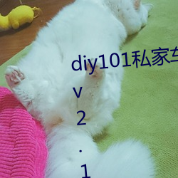 diy101私家车2.1.0官方安卓下载 v2.1.0地(地)址老(老)版(版)本app