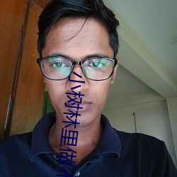 小树林里做不可描述的事情