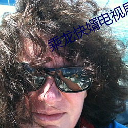 乘龙快婿电视剧