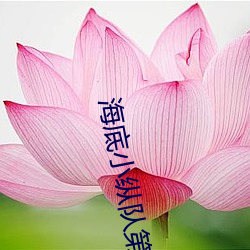 海底小縱隊第四季 第5集