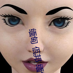 缅(緬)甸 佤(佤)邦 缅甸3分19秒砍人(人)手脚血腥真(真)实(實)