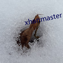 xhanmaster 55