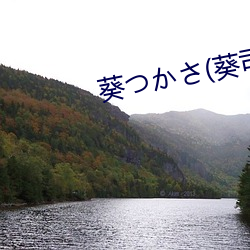 葵つかさ(葵司 （无相无作）