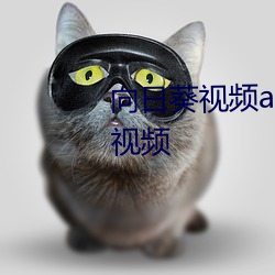 向日葵视频app官网苹果版在线视频