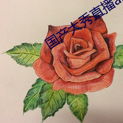 國産大秀直播app下載