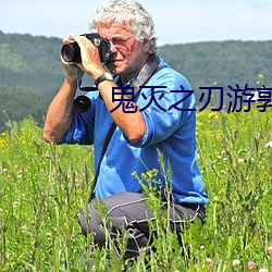 鬼灭之刃游郭篇免费观看全