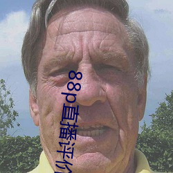 88p直播评(評)价(價)