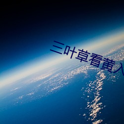 三叶草(cǎo)看黄入(rù)口