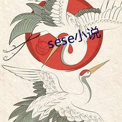 sese小说