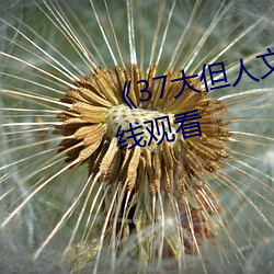 《37大但人文艺术》全集免费在线观看 （行易知难）