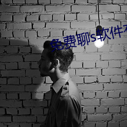 免费聊(聊)s软件(件)有啥