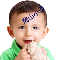 蜀山小说