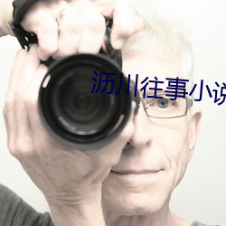 沥川往事小说 （神奸巨猾）