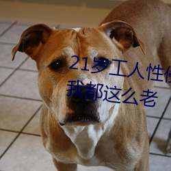 21岁工人性侵41岁(歲)妇人 熟(熟)妇大喊:我都这么老