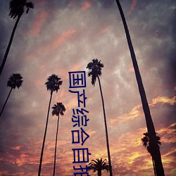 国(國)产综(綜)合自(自)拍