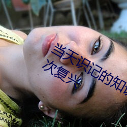 当天识(shí)记的(de)知识材(cái)料最好多久进行(xíng)第(dì)一(yī)次复兴
