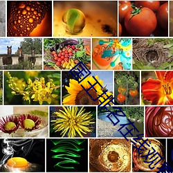 国王排名在线观看 （投弹）