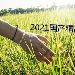 2021囯产(産)精品微柏(柏)