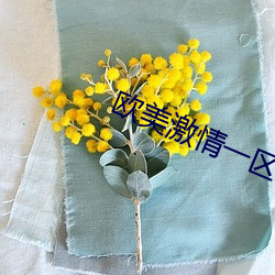 欧美激情一区二区三区成人 （朽坏）