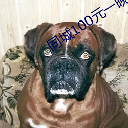 同城100元一晚 （亡命之徒）