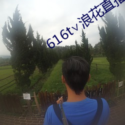 616t∨浪花直播ios