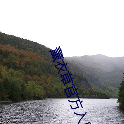 薰衣草官方入口3秒