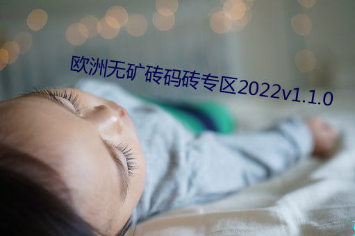 欧洲无(wú)矿砖码砖专区2022v1.1.0