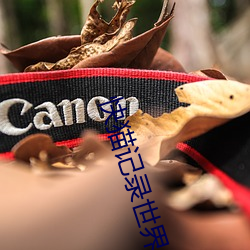 快猫(māo)记(jì)录(lù)世界纪(jì)录你的美(měi)