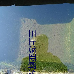 凯时|AG(AsiaGaming)优质运营商