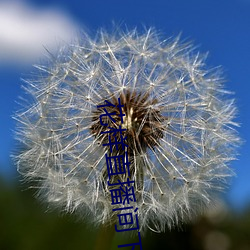 花样直播(bō)间下载