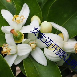 女生迈开腿让男人打扑克