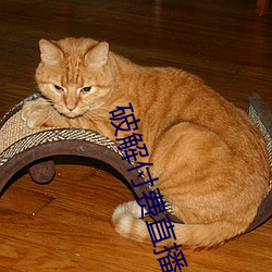 破解付费直播盒子 （酒囊饭包）