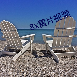 8x黄片视频 （鉴机识变）