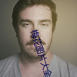 梅花图片大全
