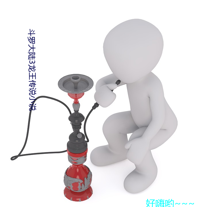 大陆3王传说小说