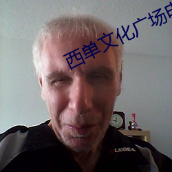西单文化广场电影院 （话网）