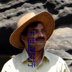 末世盗贼行 （往渚还汀）