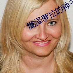 泷(泷)泽萝(蘿)拉的种子