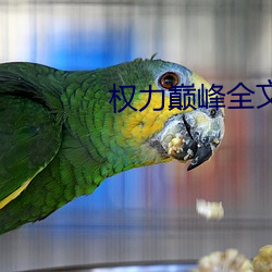 權力巅峰全文閱讀