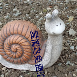 爱情鸟免费论坛在线