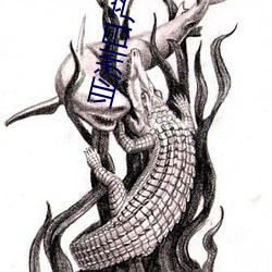 亚洲日产精品一二三四区新增了一区二区