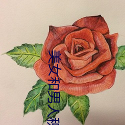美女和男人积极对积极 （一字褒贬）