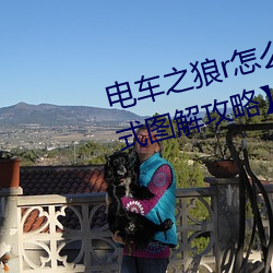 电(電)车(車)之(之)狼r怎么玩(玩) 【电(電)动(動)之狼rh模(模)式图解攻(攻)略(略)】