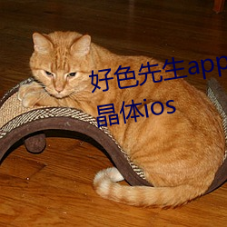 好色先(xiān)生(shēng)app安(ān)装无限(xiàn)看丝瓜苏州晶体ios