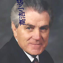 高(高)洁小说(說)