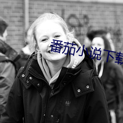 番茄小說下載