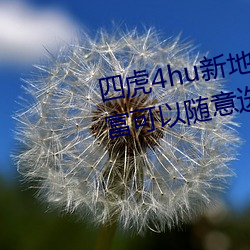 四(四)虎(虎)4hu新(新)地址入口2022内容丰富(富)可(可)以随(隨)意选择