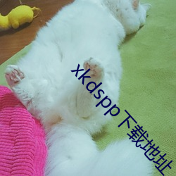 xkdspp下(下)载地址