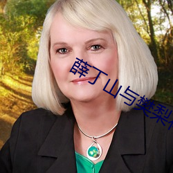 薛丁山與樊梨花電視劇免費觀看
