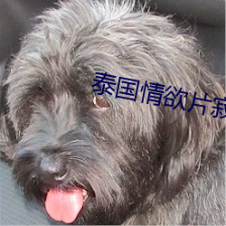泰国情(情)欲(欲)片寂(寂)寞的寡(寡)妇在线